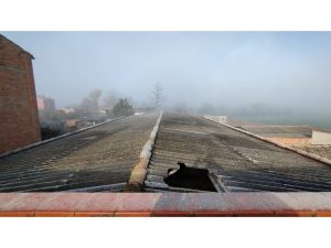 Solar en Venta - Zona La Guixa