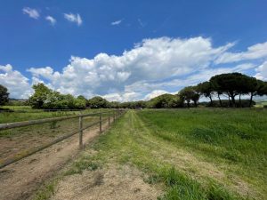 Masia en venta en Zona Rústica