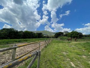 Masia en venta en Zona Rústica